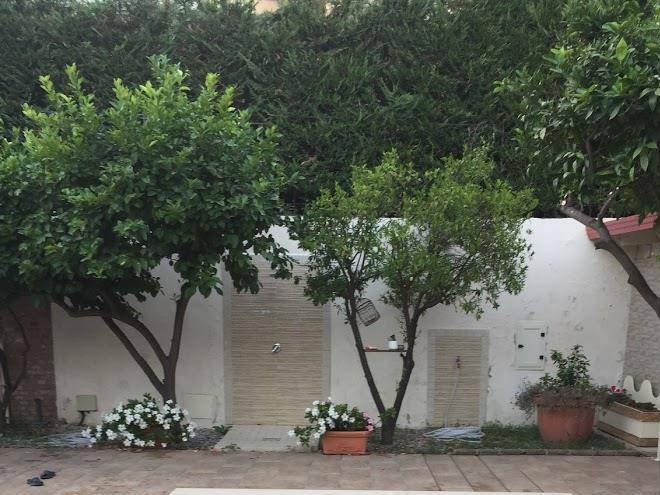 Alla corte di re federico