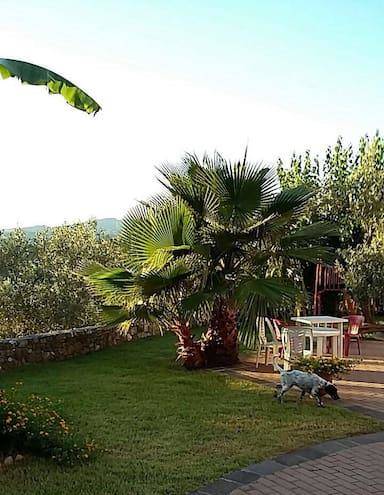 B&b grandinetti