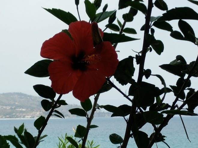 B&b La Santera Image