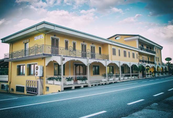 Palmed hotel