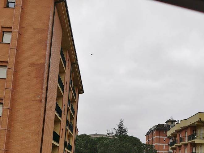 Accademia residence