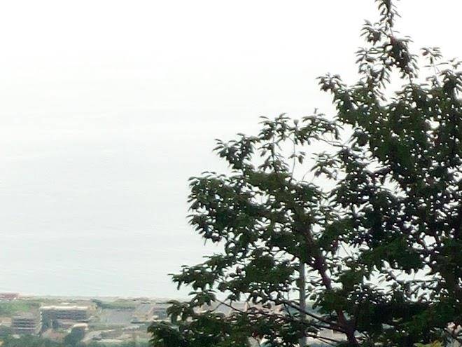 Agriturismo la valle dei ciliegi