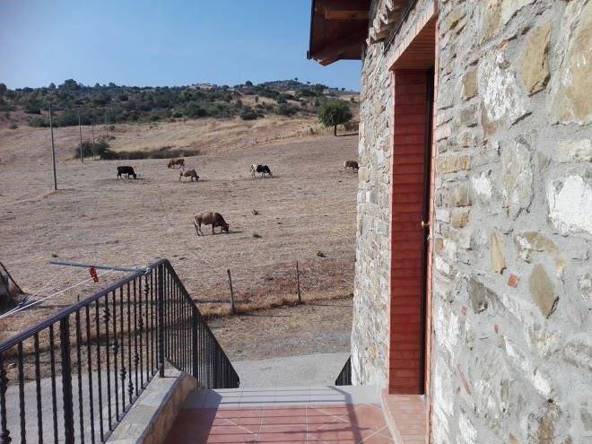 Agriturismo masseria farina