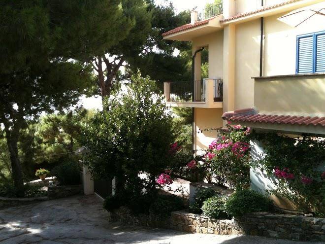La pineta