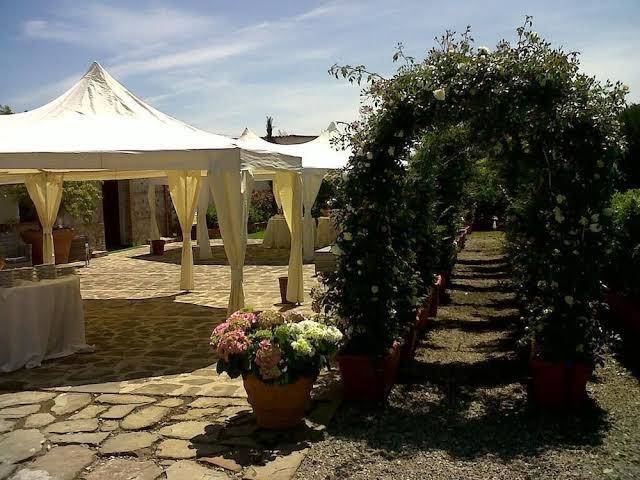 Societa agricola mg florplant s r l