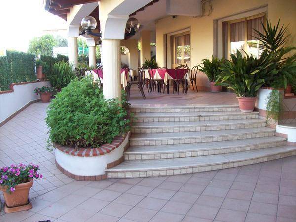 B&b belvedere