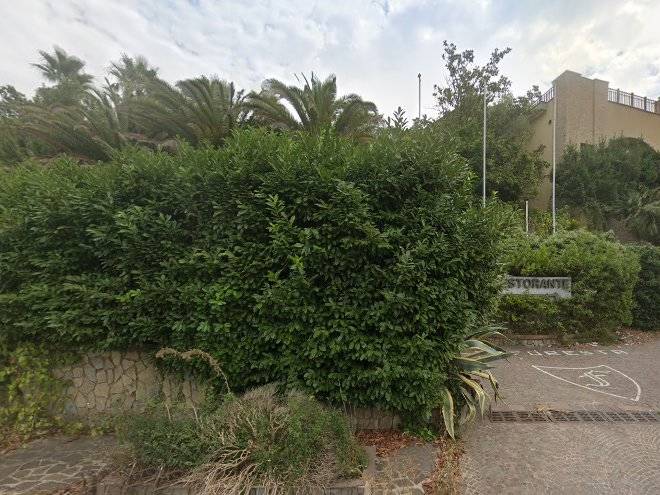 Resort la foresta