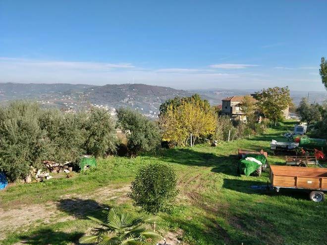 Agriturismo athena