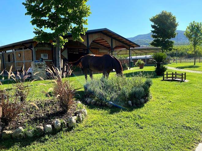 Family farm societa agricola a rl