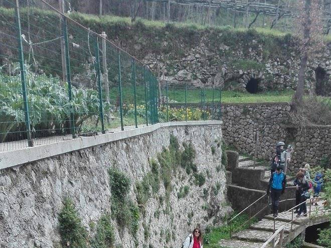 Agriturismo nonna martina di brancati nicola