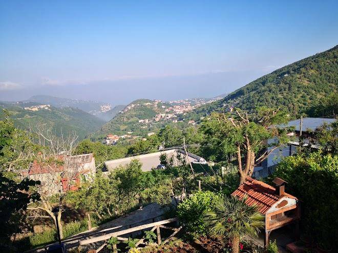 La ginestra cooperativa agrituristica e apistica