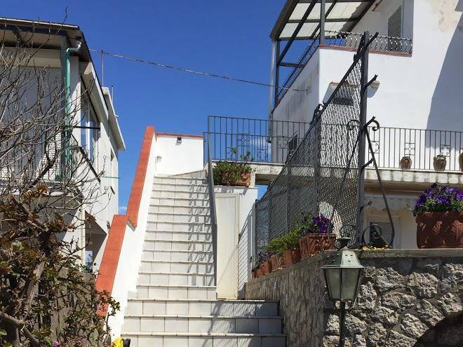Beb la ninfa di capri