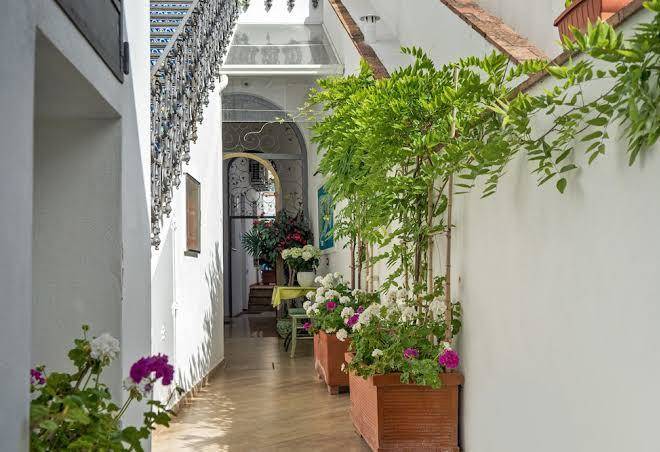 Capri dreaming b&b