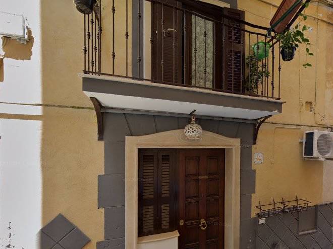 Euplea napoli