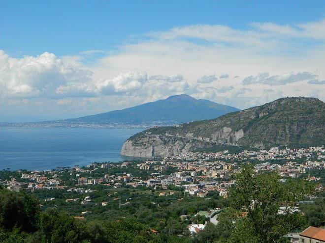 Gli ulivi agriturismo