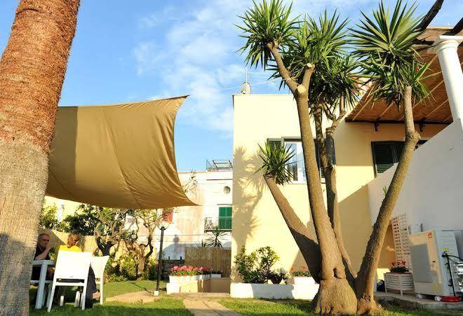 Il leone di mare b&b
