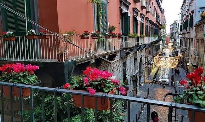 Il Salotto Di Nonna Cornelia Image