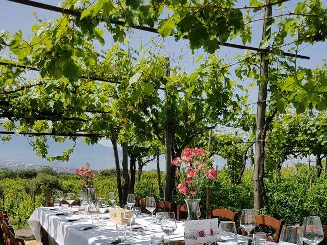 Sorrentino Vini Image