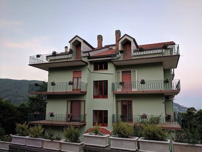 The Silver Pine Image