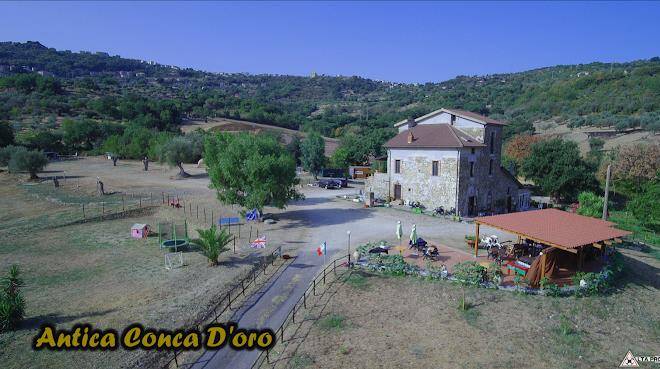 Antica conca d'oro