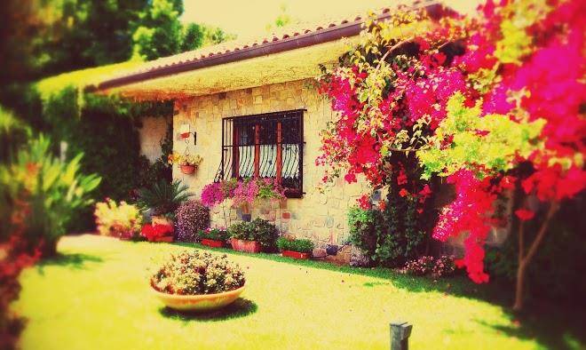 B&b Il Giardino Fiorito Image