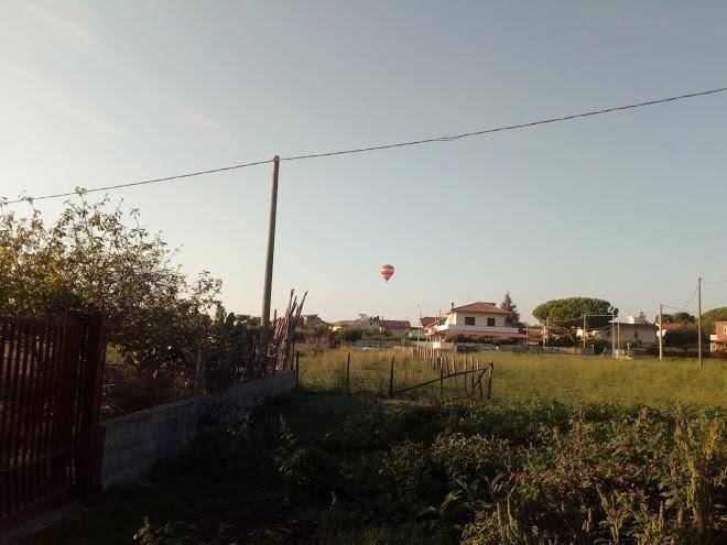 Beb paestum rosae