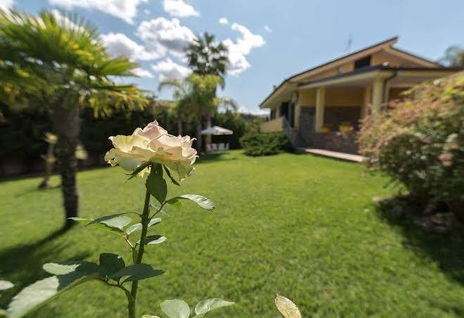 Bed and breakfast musae