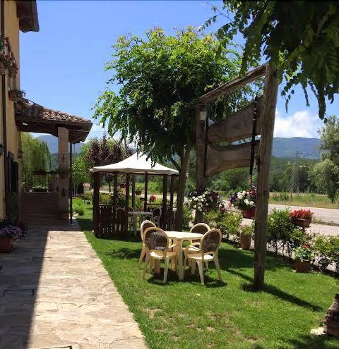 Gallo michele