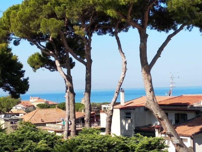 Il cigno
