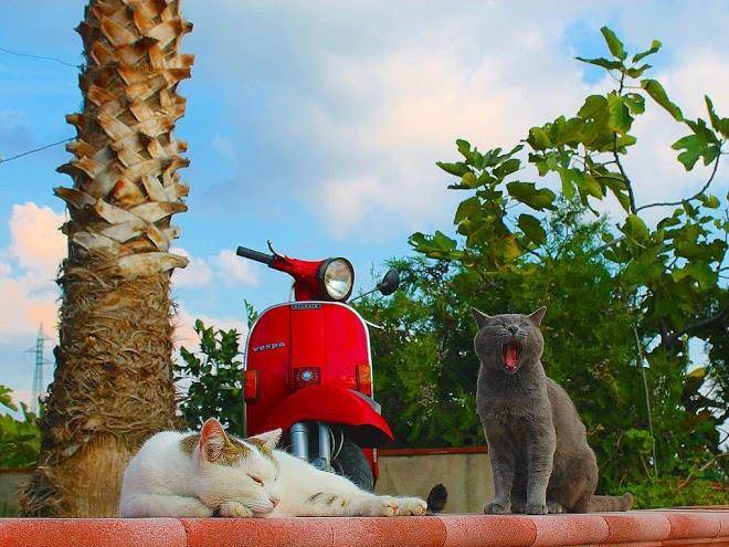 Montebianco B&b Image