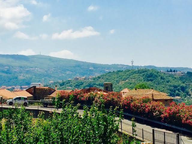 Pozzo medievale