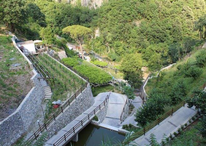 Tenuta bosco