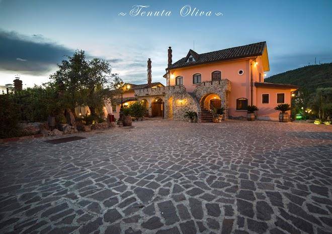 Tenuta oliva
