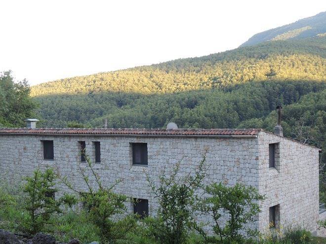 Tenuta sirippi