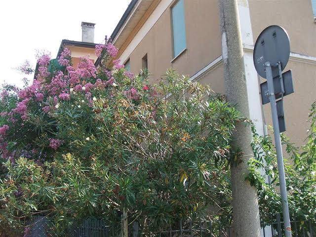 B&b accorsi