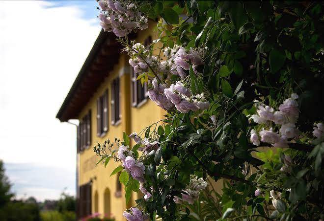 Agriturismo ca' nuova