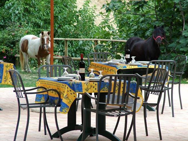 Agriturismo malcantone guidotti