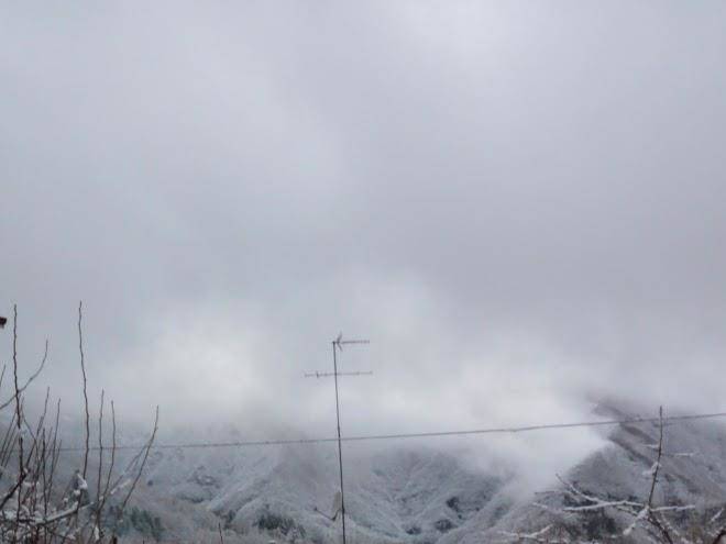 B&b Le Frascare Image