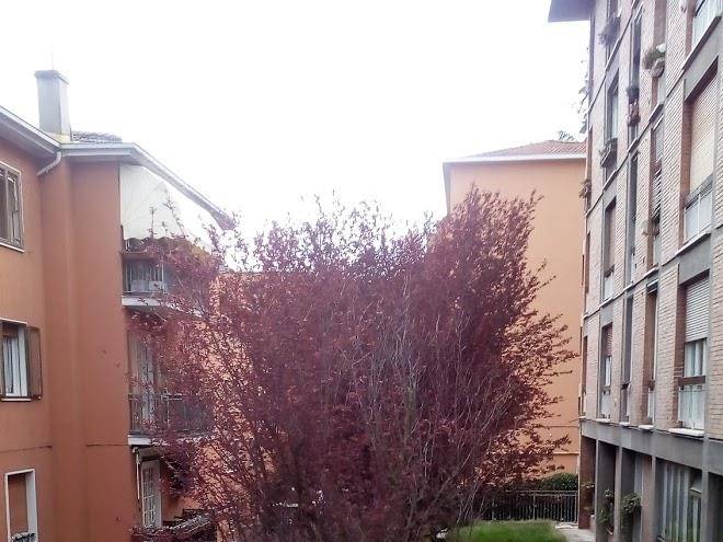 B&b rizzoli bologna