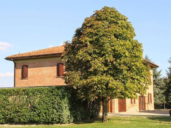 Giardino di mia