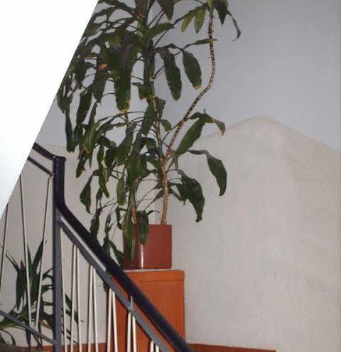 Hotel triana e tyche