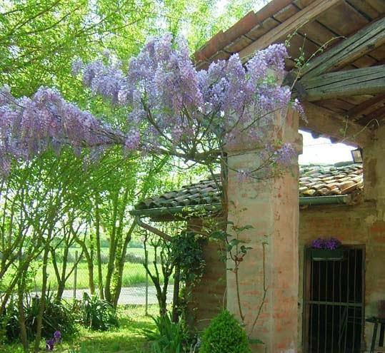 Il borgo di via chiesa