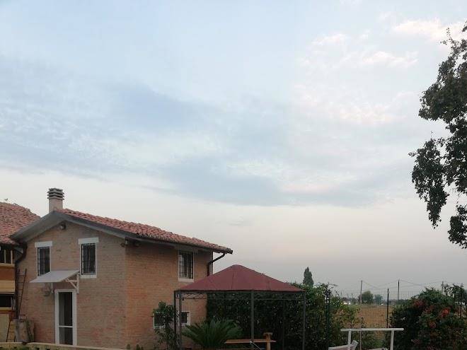 Il leccio