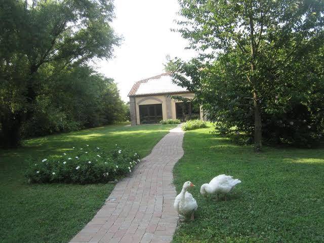 Agriturismo l'unicorno