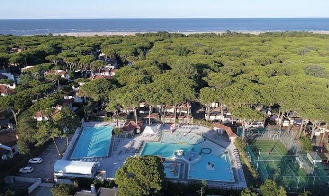 Mare e pineta