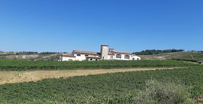 Borgo conde