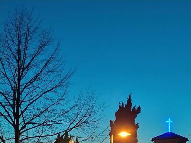 Fra bosco e cielo