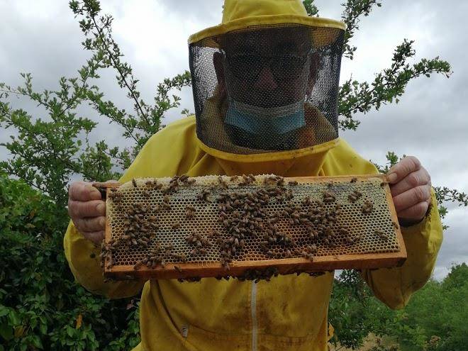 Hotel Delle Colline Longiano Image