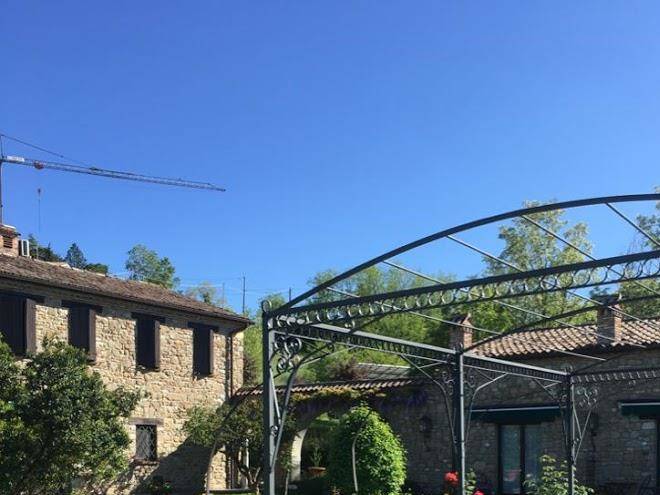 Quattro passeri