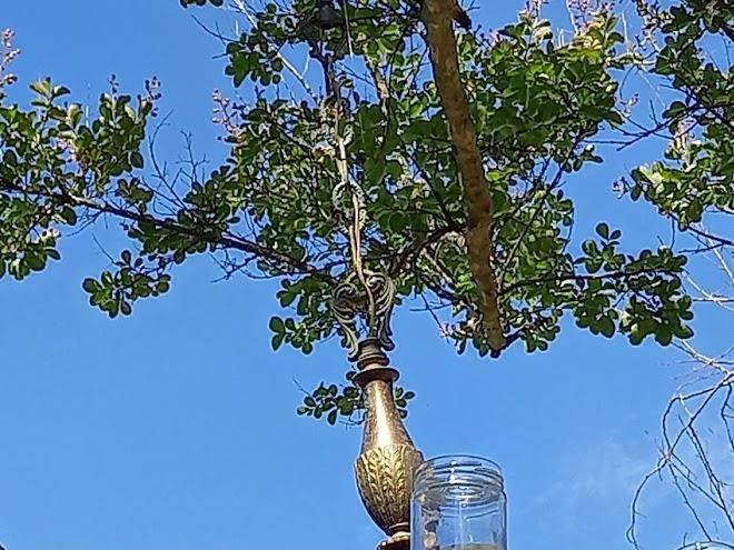 Azienda Agricola Santa Chiara Image